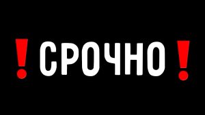 срочный перевод